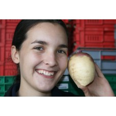 SWEDE MEDIUM Size Ohakune Grown